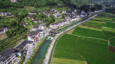 宣恩 | 椒园启动茶园冬季管理