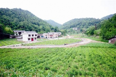 宣恩百余村支书 参观店子坪村