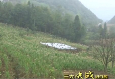 视频 | 建始县金子墩村：高山养殖助推脱贫摘帽