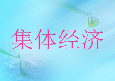 咸丰破解村集体经济发展难题