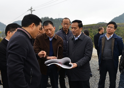 恩施市领导到恩施市龙凤坝白杨坪调研乡村休闲旅游产业 