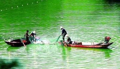 湖北重拳整治养殖业污染 明年底完成湖库违规养殖整治