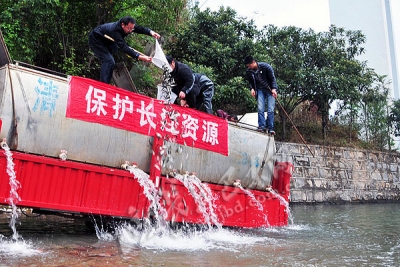 巴东 | 改善生态 12万尾白甲鱼放流长江