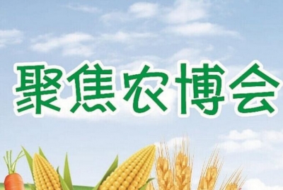 咸丰 | 香米、白茶在中国武汉农业博览会喜获金奖