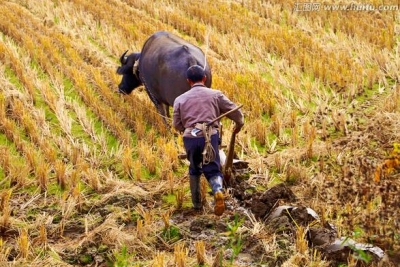 明年起 湖北每年每县兴办万亩以上耕地质量保护示范区
