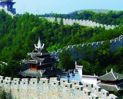 全国志愿服务“四个100”评选网上投票启动 恩施州三典型入围