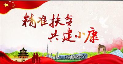 刘芳震：相互借鉴再加措施确保精准扶贫年度任务交硬账