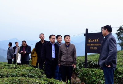 宣恩伍家台贡茶农业综合标准化示范区通过考核验收