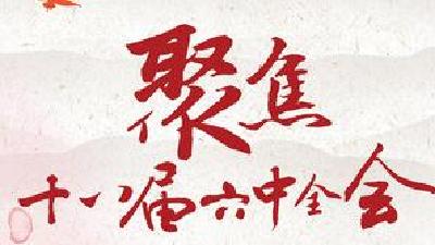 视频 | 恩施州人大机关党员干部专题学习全会精神
