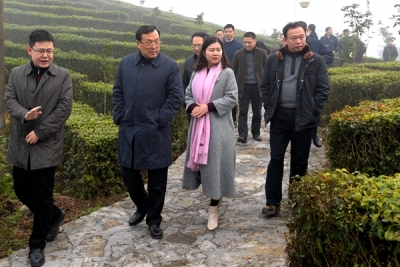 杭州市考察团到恩施考察东西部扶贫协作工作