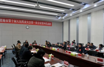 (聚焦两会)恩施市十届人大一次会议第四代表团讨论侧记