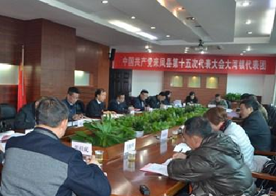 【聚焦党代会】全力以赴建设“清洁能源重镇” ——来凤大河镇代表团讨论侧记