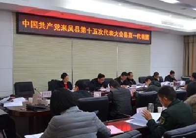 【聚焦党代会】同心同德助推“小康来凤” ——来凤县直一代表团讨论侧记