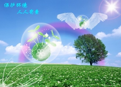 恩施 | 环境整改要有良方