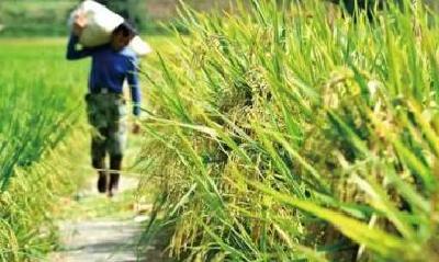湖北省2017年国家农业综合开发产业化发展项目申报指南