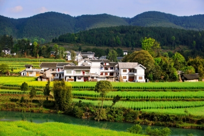 视频 | 建始县龙潭村：稳固壮大传统产业 创新培植新兴产业