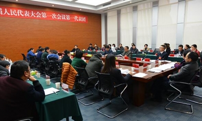 (聚焦两会)恩施市十届人大一次会议第一代表团讨论侧记 