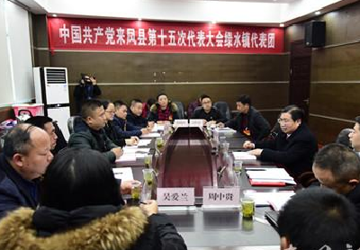 【聚焦党代会】凝心聚力打造“产业重镇” ——来凤绿水镇代表团讨论侧记