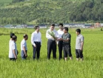 习近平对做好“三农”工作作出重要指示