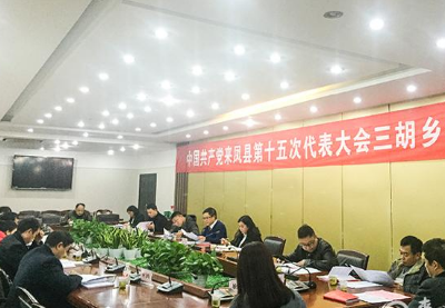 【聚焦党代会】竞进小康建设“杨梅风情园” ——来凤三胡乡代表团讨论侧记