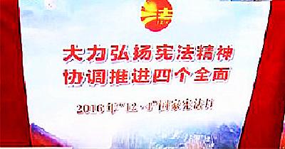 恩施市开展国家宪法日暨法制宣传日活动