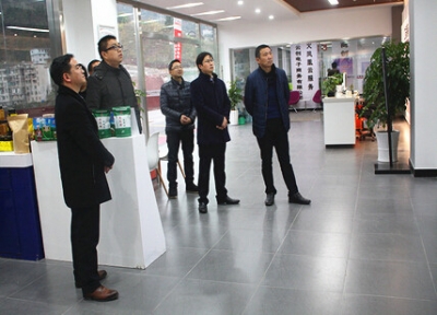 咸丰县组团来到鹤峰县考察电子商务进农村综合示范点建设工作