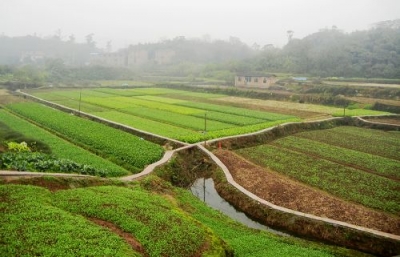鹤峰县启动耕地质量保护提升示范区建设