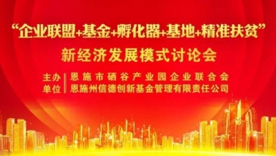 创新金融模式，带动产业升级，实现精准扶贫
