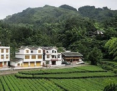 省民政厅到恩施市河湾村调研农村社区建设试点工作