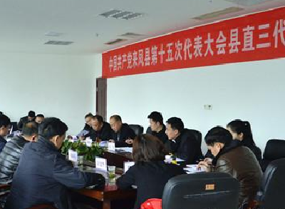 【聚焦党代会】转型升级助推“小康来凤” ——来凤县直三代表团讨论侧记