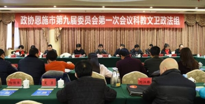 (聚焦两会)恩施市九届政协一次会议市直科教文卫政法组讨论侧记