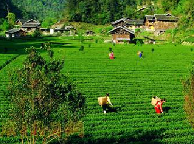 在省硒科技与硒产业发展研讨会上恩施州首提“硒产业4.0”