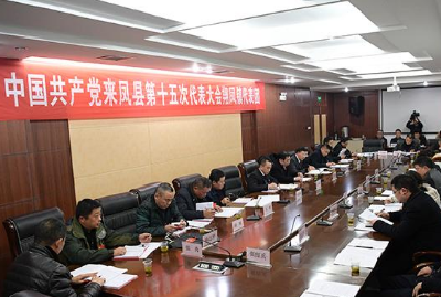 【聚焦党代会】砥砺奋进建设“四区翔凤” ——来凤翔凤镇代表团讨论侧记