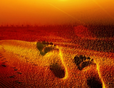 新年献词:把脚板放在地上