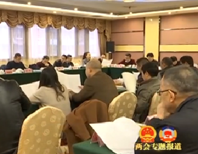  政协委员分组讨论“两院”报告