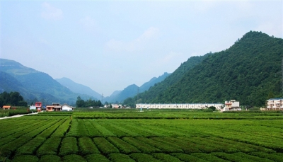 鹤峰 | 龙潭村获国家级“美丽宜居村庄示范”称号