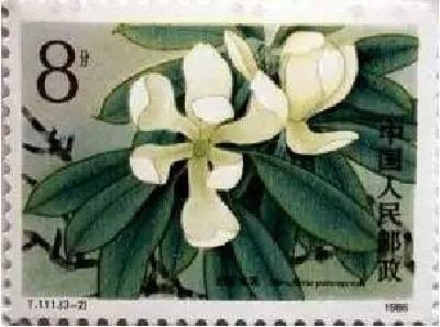 她1986年成为邮票图案，现在想在恩施担当重任，你同意么？