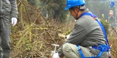 恩施楷模吕铁牛:平凡坚守 守护万家灯火