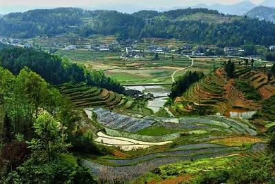 利川粮食安全行政首长责任制工作获恩施州考核组肯定