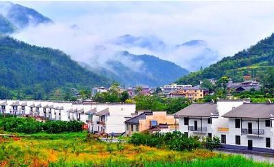 宣恩：切实抓好基层社会治理