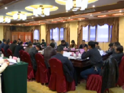 出席政协恩施州八届一次会议的委员分组讨论报告