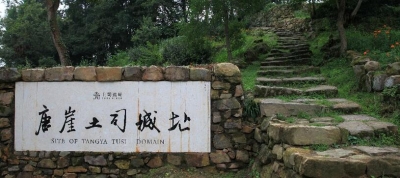 文化专著