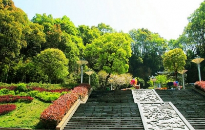 李建明调研凤凰山森林公园建设管理情况