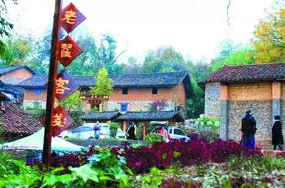 踏访荆楚新农村：告别脏乱差旧貌 绽放不同于城市的美
