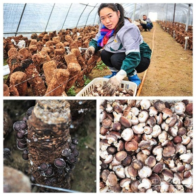 扶贫工作如何避免“养懒汉”