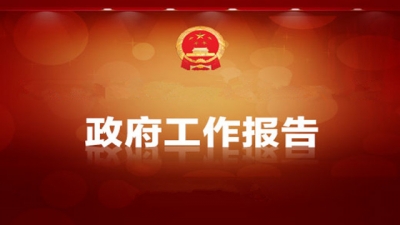 视频 | 政府工作报告摘要（九）