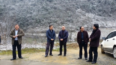 山东省东营市人大常委会调研组赴恩施州调研自然保护区立法工作