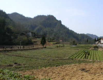 鹤峰县春耕生产现场会召开