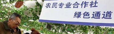 恩施州将新增190家农民专业合作社