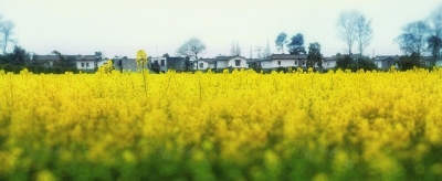 恩施这28个乡村可获中央、省级补助资金 县市区也将安排资金……